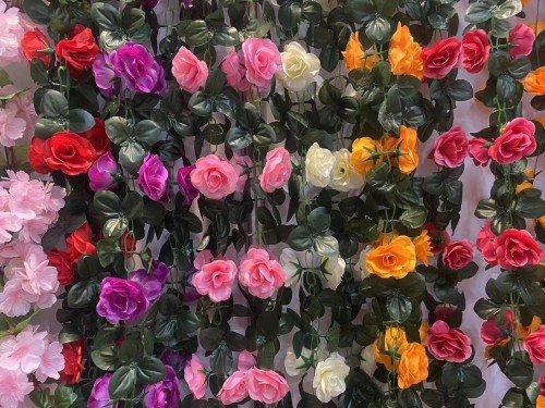 Head Rose Flower