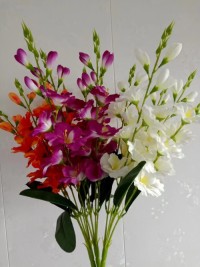 Gladiolus Flower