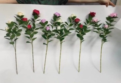 French Roses
