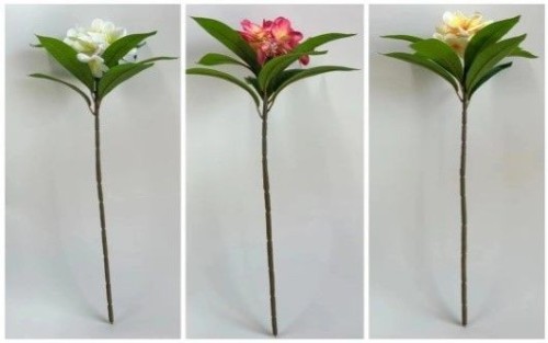 Large Plumeria Flower