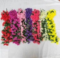 Violet Flowers