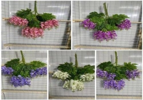 Locust Flower