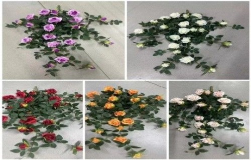 Tea Tree Rose